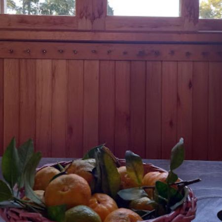 Cabana De Campo Cafe Da Manha Sitio Da Serrinha Bom Retiro  Εξωτερικό φωτογραφία