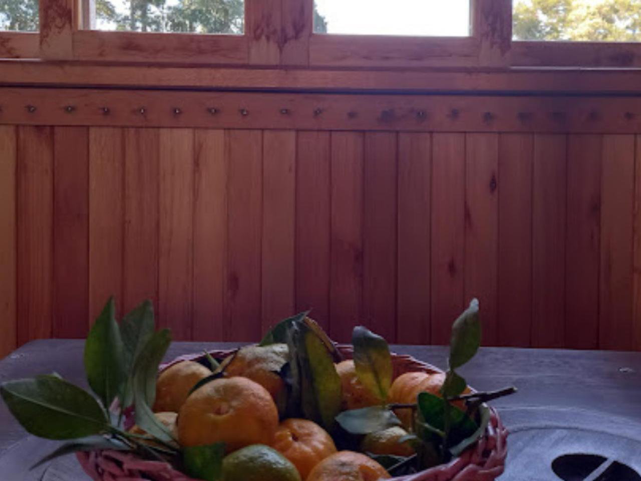 Cabana De Campo Cafe Da Manha Sitio Da Serrinha Bom Retiro  Εξωτερικό φωτογραφία