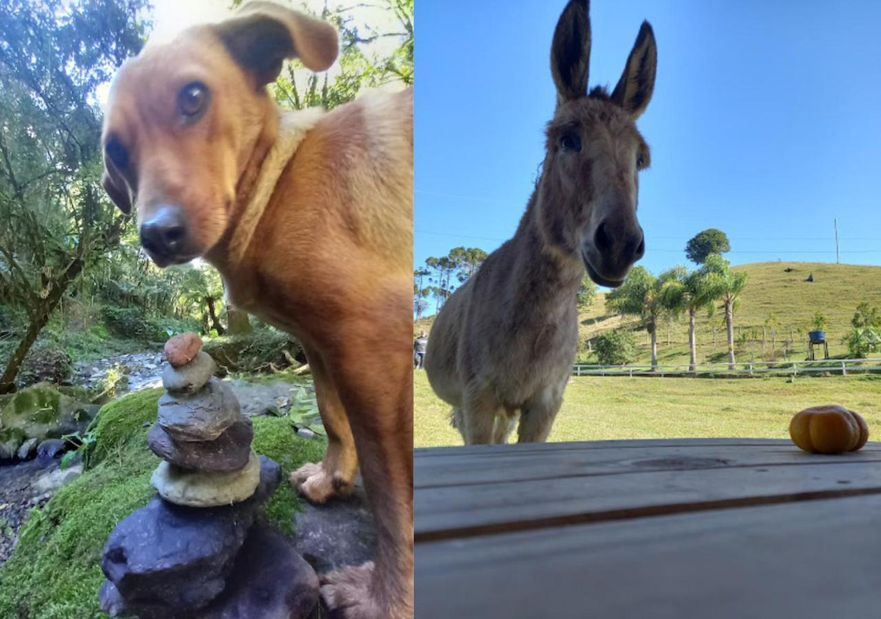 Cabana De Campo Cafe Da Manha Sitio Da Serrinha Bom Retiro  Εξωτερικό φωτογραφία